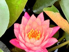 -泗洪洪泽湖湿地景区