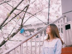 -上海南浦大桥长途旅游客运站