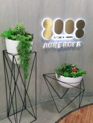 点击看大图 -八佰伴8008星级形象店