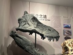 -自贡恐龙博物馆