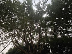 -沐仙湖湿地公园