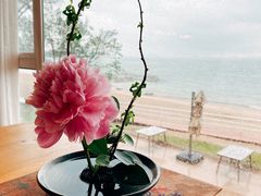 -无味舒食(环岛路店)