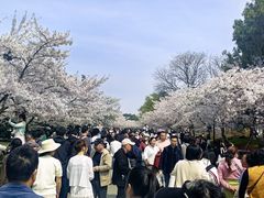 -青岛海滨风景区