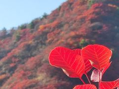 -水峪民俗村