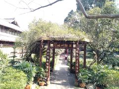 -峨眉山报国寺