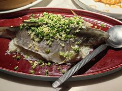 -钟菜·粤菜点心·宴请(海上世界·汇港二期店)