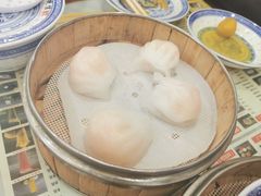 -捷信牛奶甜品世家(柳巷店)