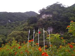 -太鲁阁公园