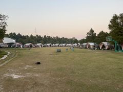 -上海海湾国家森林公园