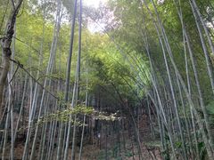 -敬亭山风景名胜区