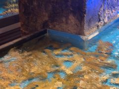 -百富源·海鲜辽菜(和平北大街店)