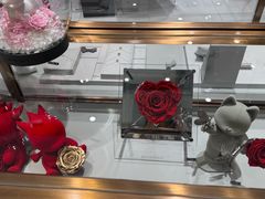 -ROSEONLY诺誓(磐基中心店)