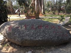-瑞丽独树成林风景区