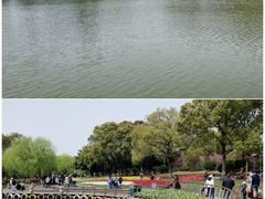 -上海鲜花港