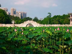 -荔湾湖公园