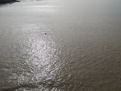 -东沙渔村