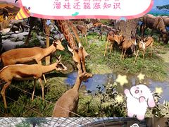 -国家自然博物馆