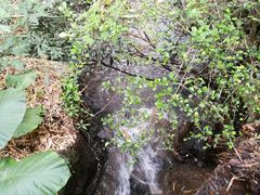 -滴水岩森林公园