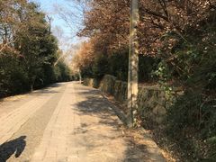-紫金山山顶公园