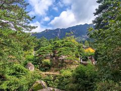 -九华山风景区