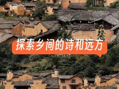 -杨家堂村