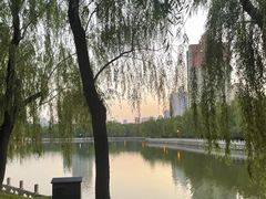 -迎泽公园