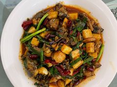 饵块鸡-红豆园(文林街店)