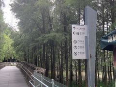 -福道