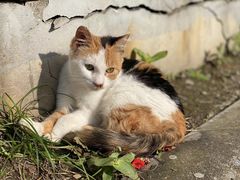 -新达口腔(华东理工大学店)