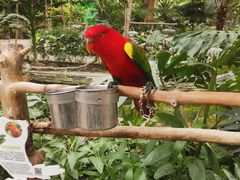 -南宫五洲植物乐园