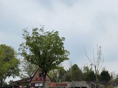 -东湖落雁景区