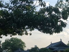 -江心屿景区