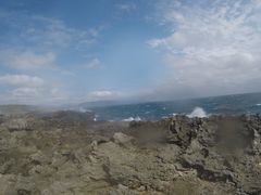 -龙坑生态保护区