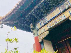 -大海碗·京菜炸酱面(雍和宫店)