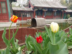 -宣武艺园