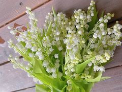 -花邻FloweringLife花艺气球派对(武康大楼店)