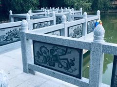 -金花茶公园