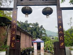 -先机泉水鸡汤(南山老君洞店)