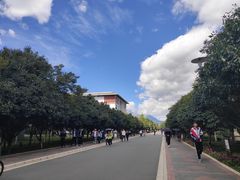 -丽江文化旅游学院