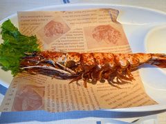 -开海·红岛海鲜虾水饺(石老人店)