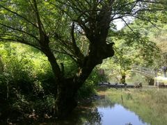 -夏霖九天银瀑风景区