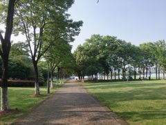 -尚贤河湿地