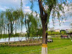 -西海子公园