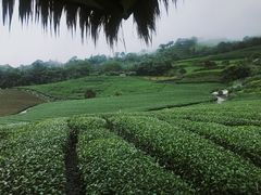 -优游吧斯邹族文化部落