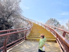 -少华山国家森林公园