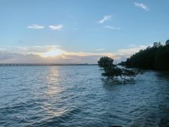 -宝安西湾红树林湿地公园