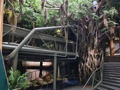 -长江文明馆