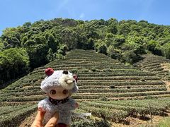 -西湖风景区十里琅珰-五云山