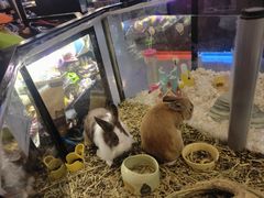 -宠物世家(仲盛世界商城店)