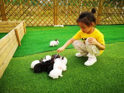 -萌宠亲子动物乐园(槐房万达店)